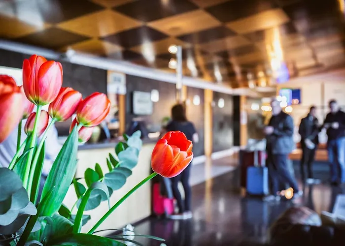 Western Alfa Aeropuerto 4*